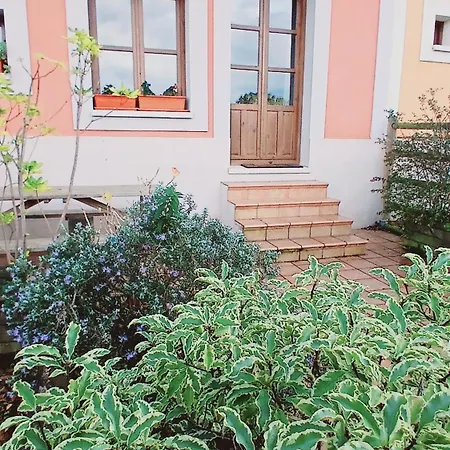 Acogedor Bajo Con Terraza Y Vistas Apartamento *